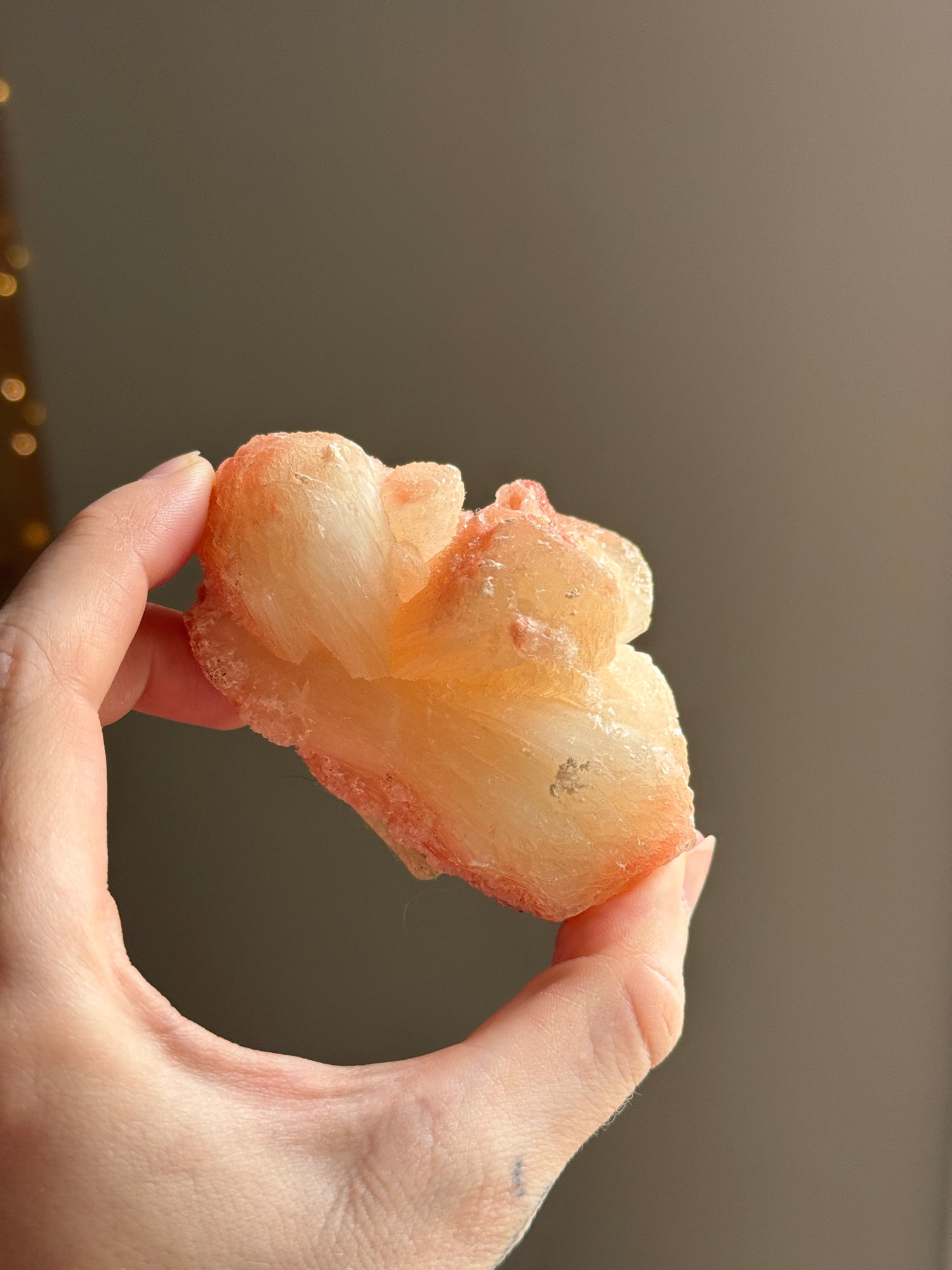 Rose Stillbite