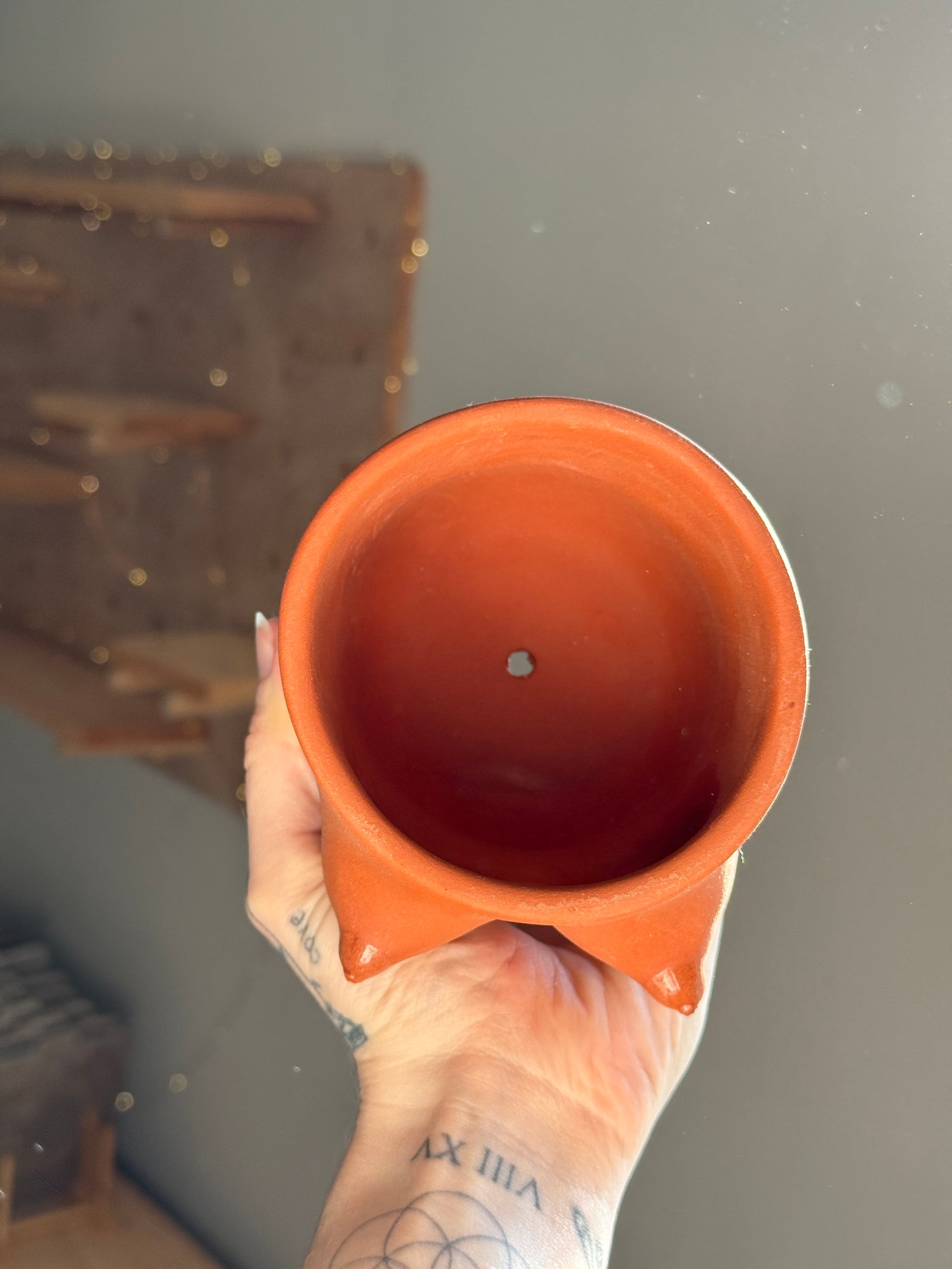 Rose Grown Pot