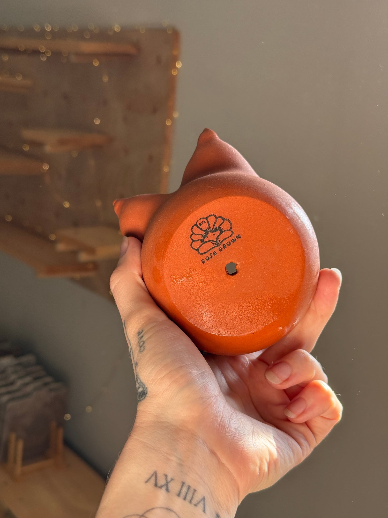 Rose Grown Pot