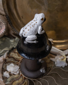 Mushroom Frog Smoker