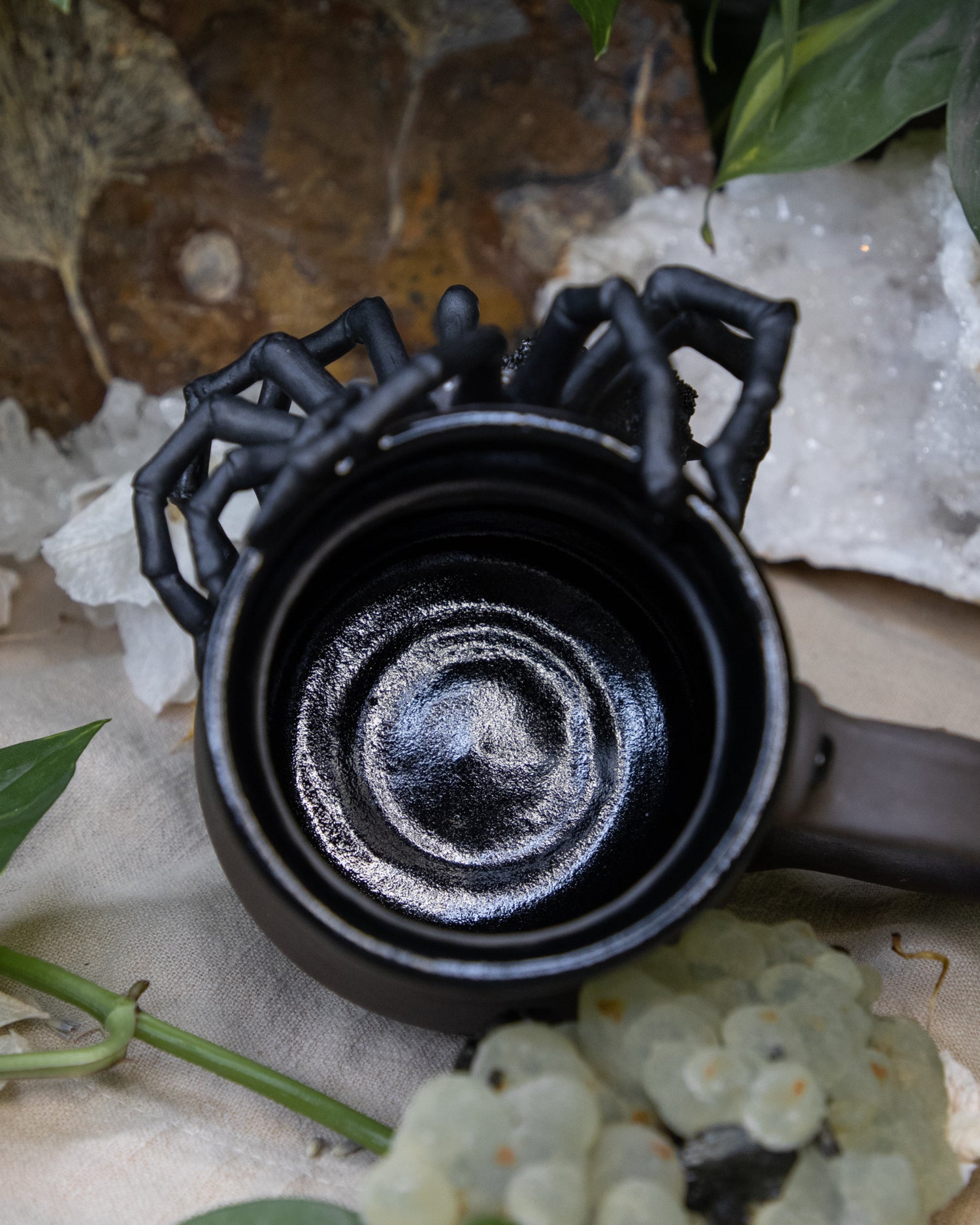 Tarantula of Patience Mug