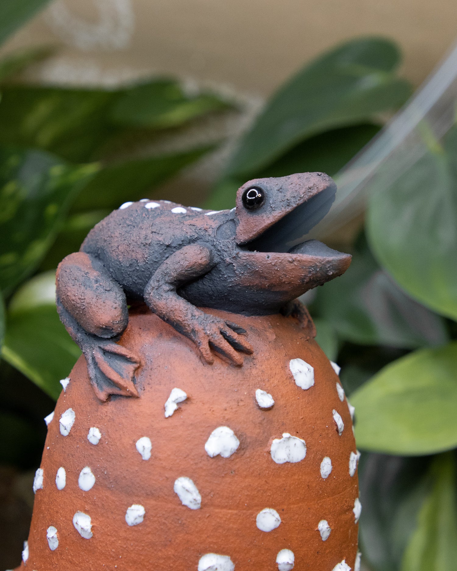 Amanita Frog Smoker