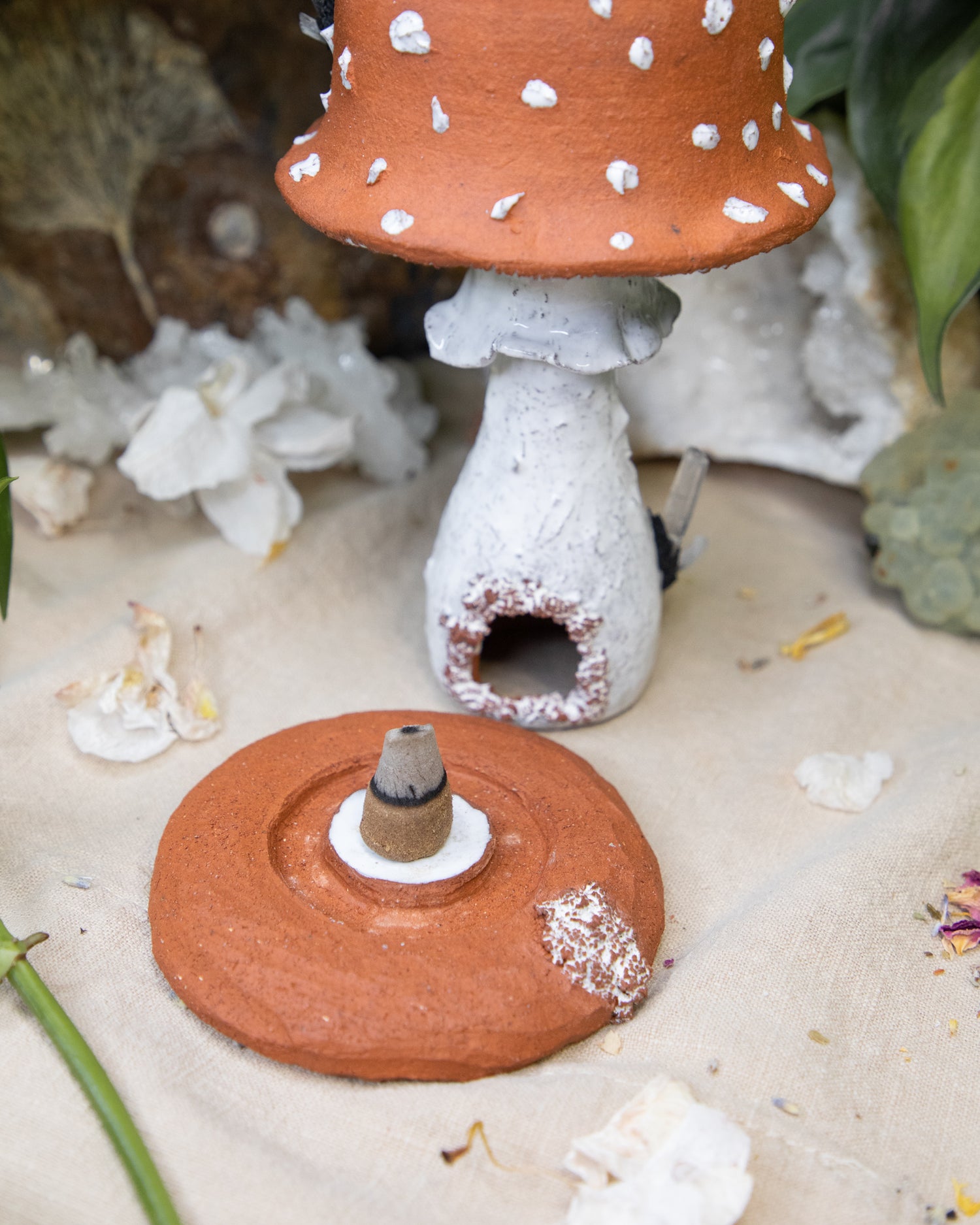 Amanita Frog Smoker