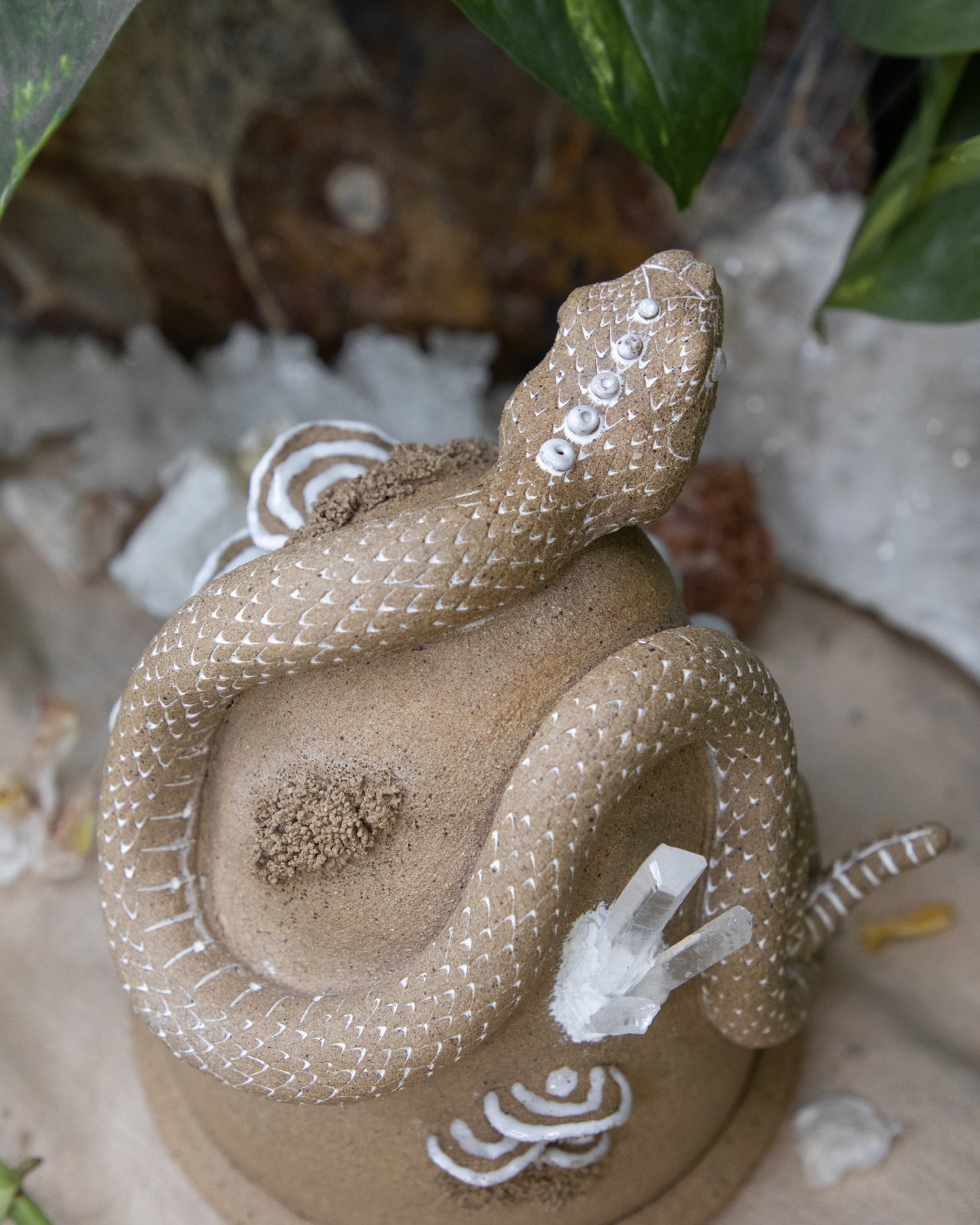 Rattlesnake Guardian Smoker