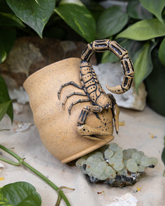 Scorpion of Protection Mug