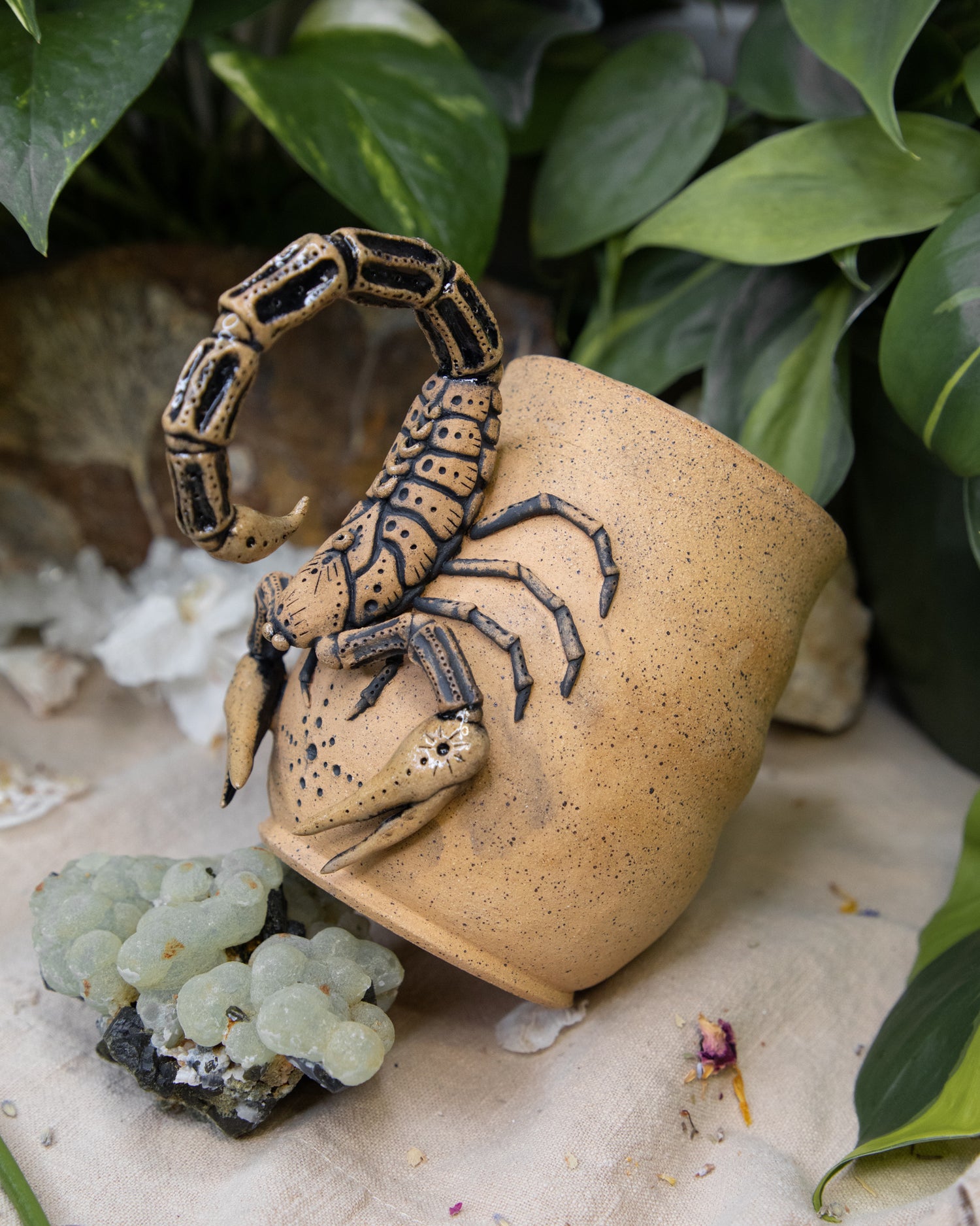 Scorpion of Protection Mug