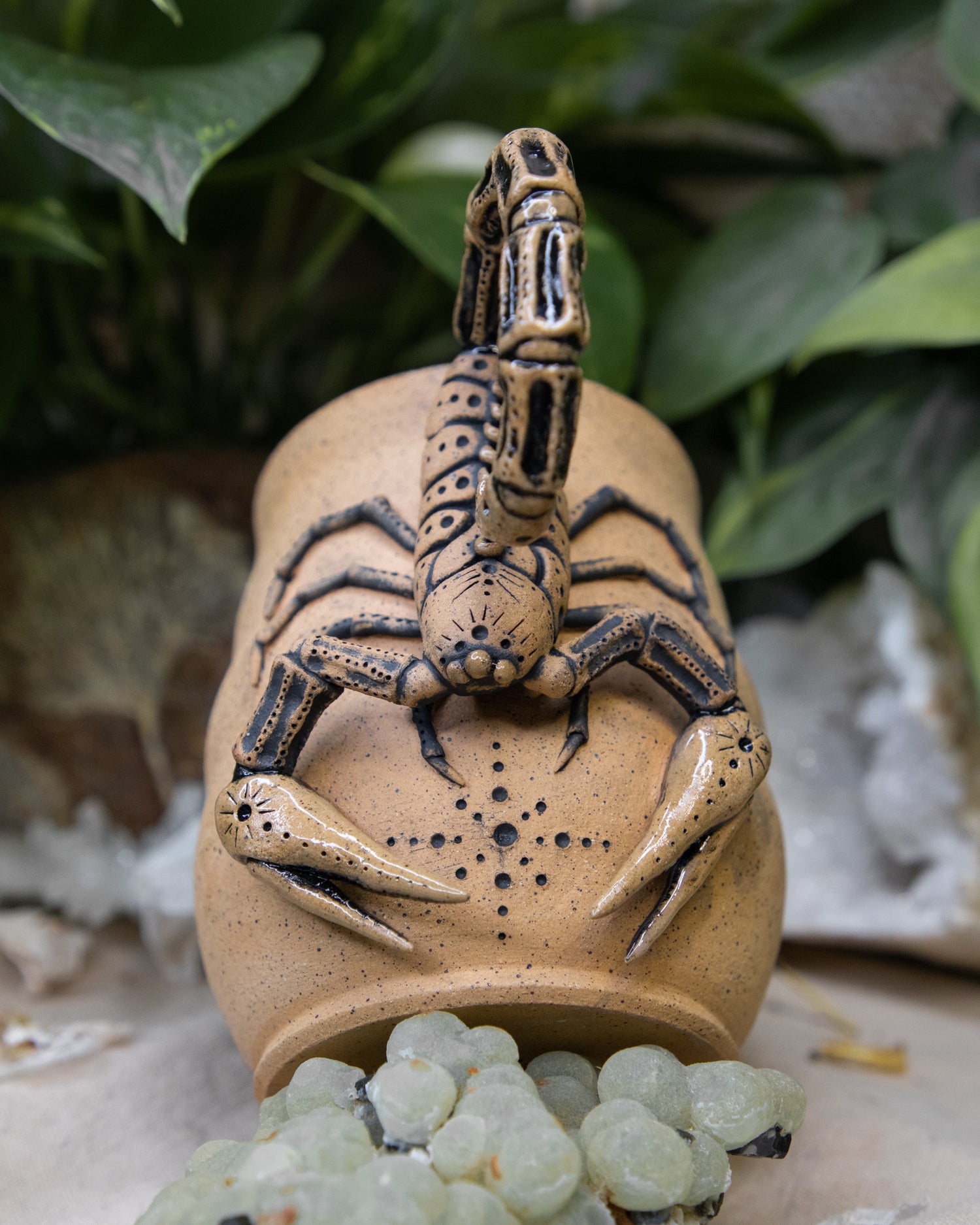 Scorpion of Protection Mug