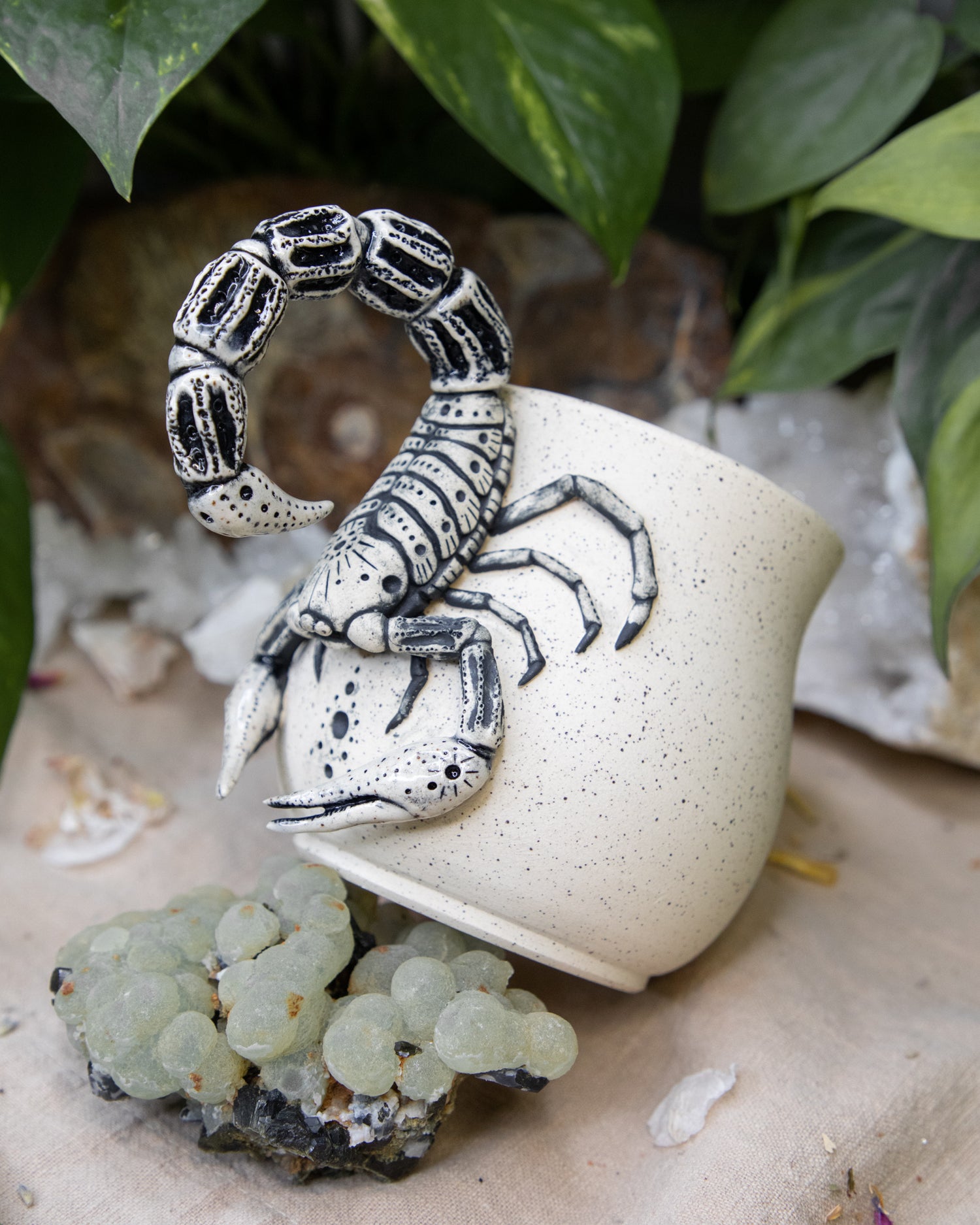 Scorpion of Clarity Mug