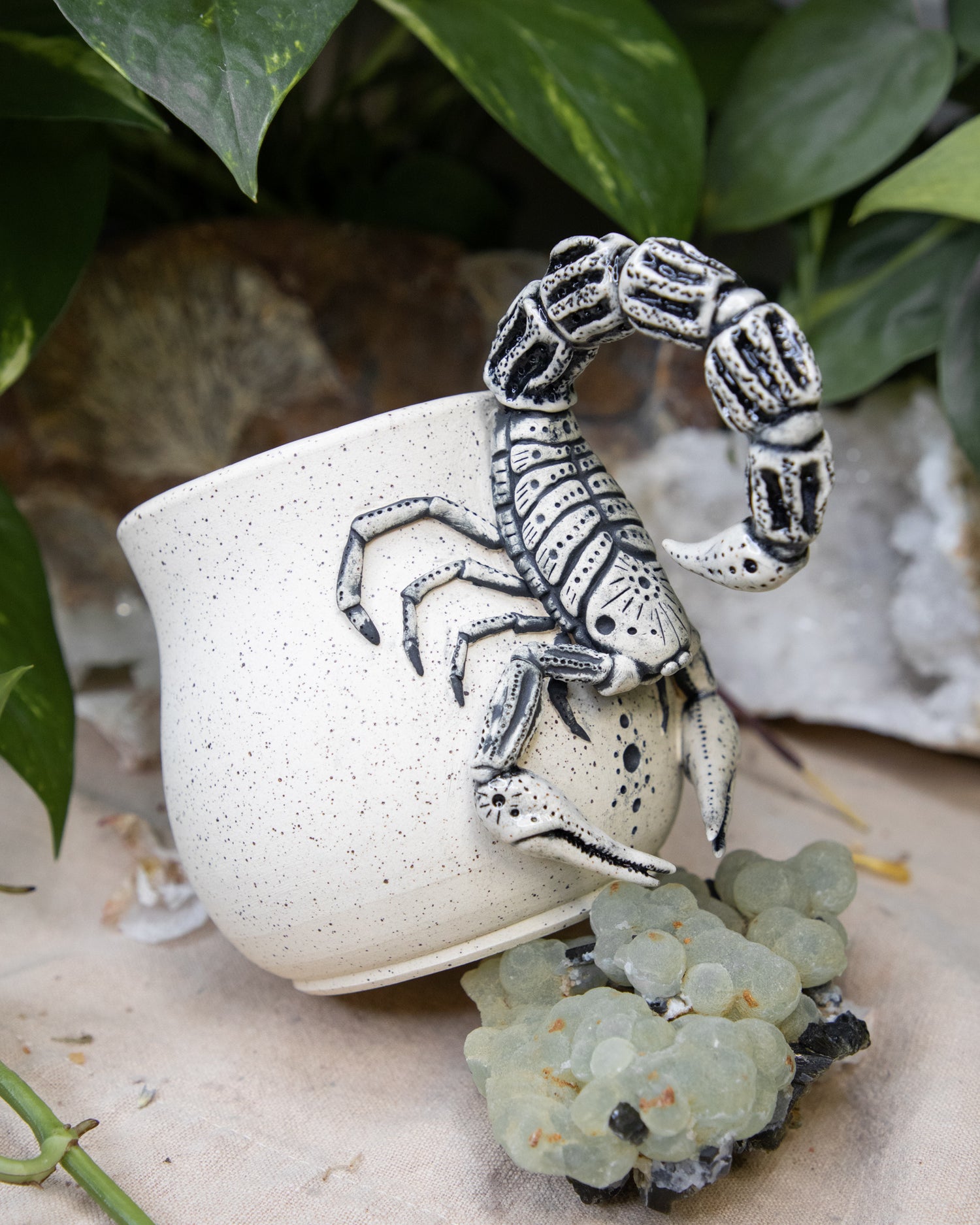 Scorpion of Clarity Mug