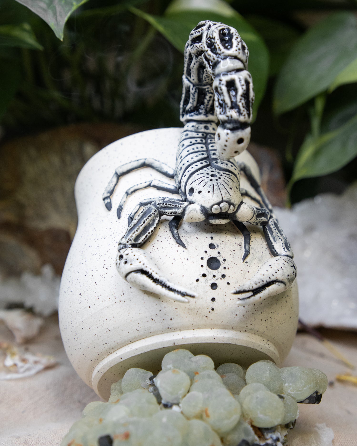 Scorpion of Clarity Mug