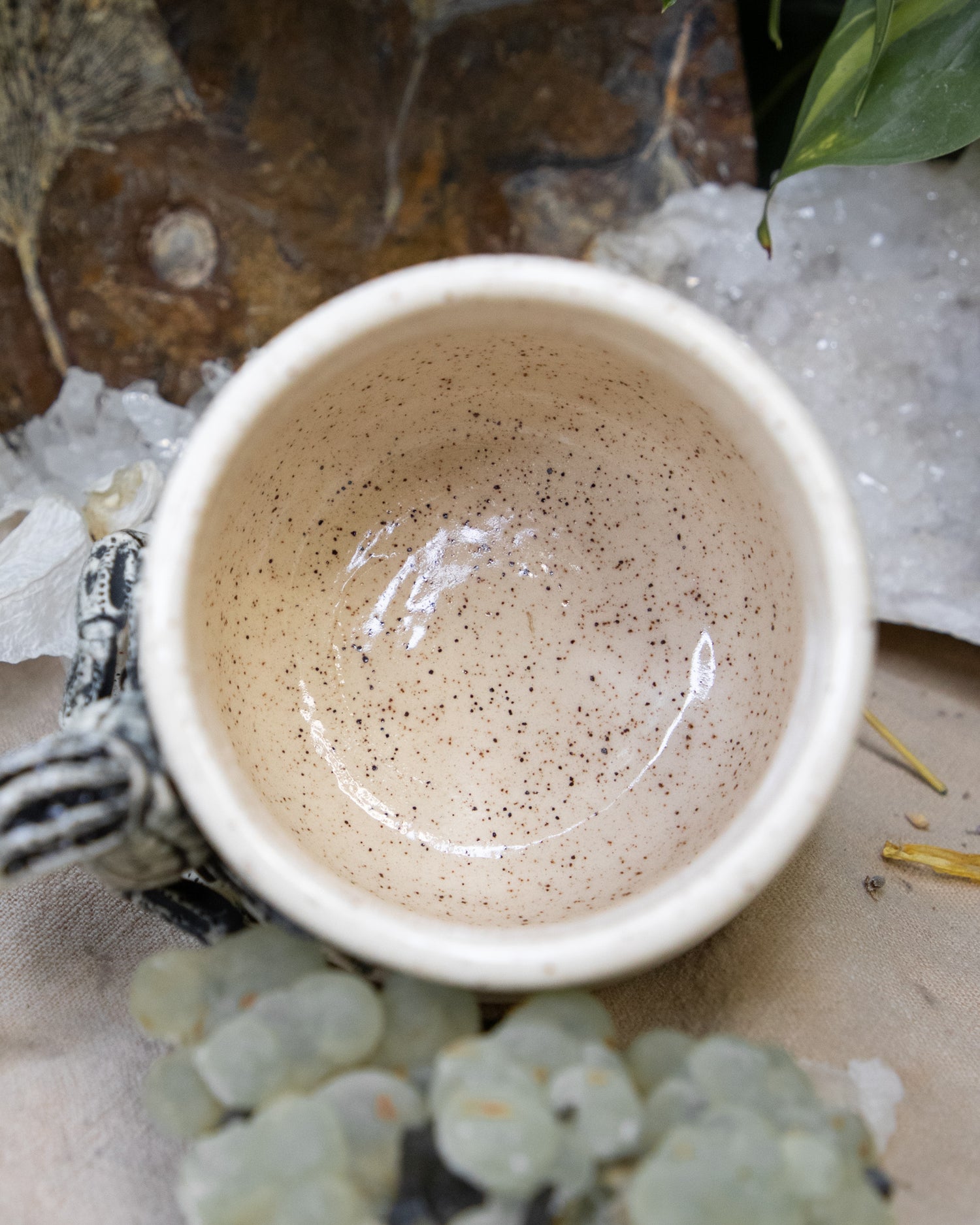 Scorpion of Clarity Mug