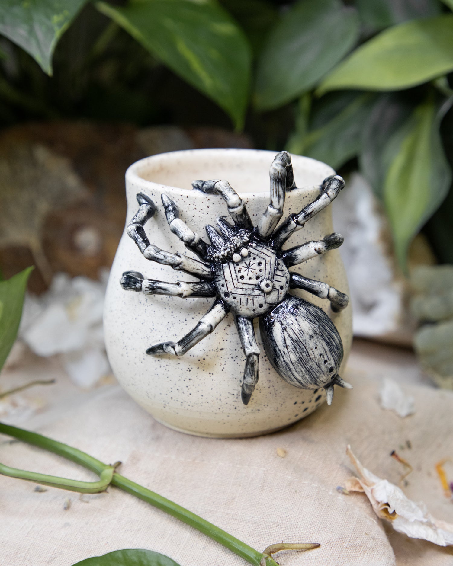 Tarantula of Trust Cup