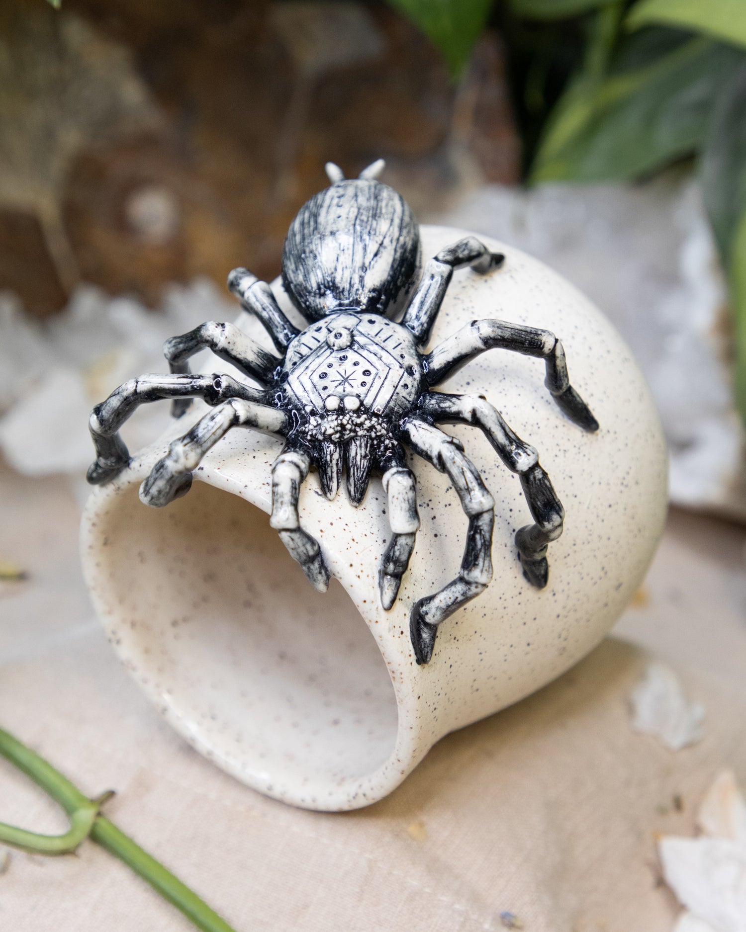 Tarantula of Trust Cup