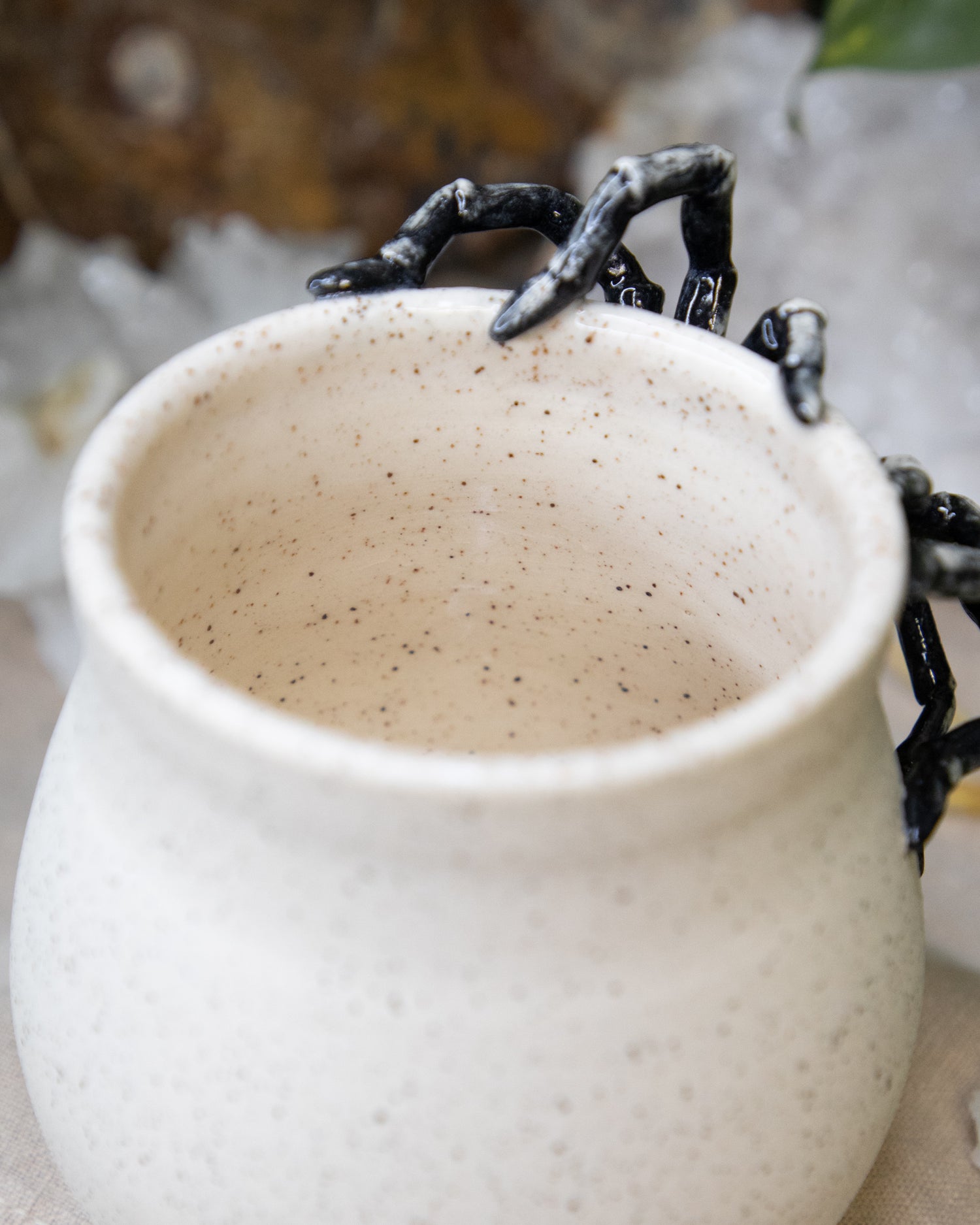 Tarantula of Trust Cup