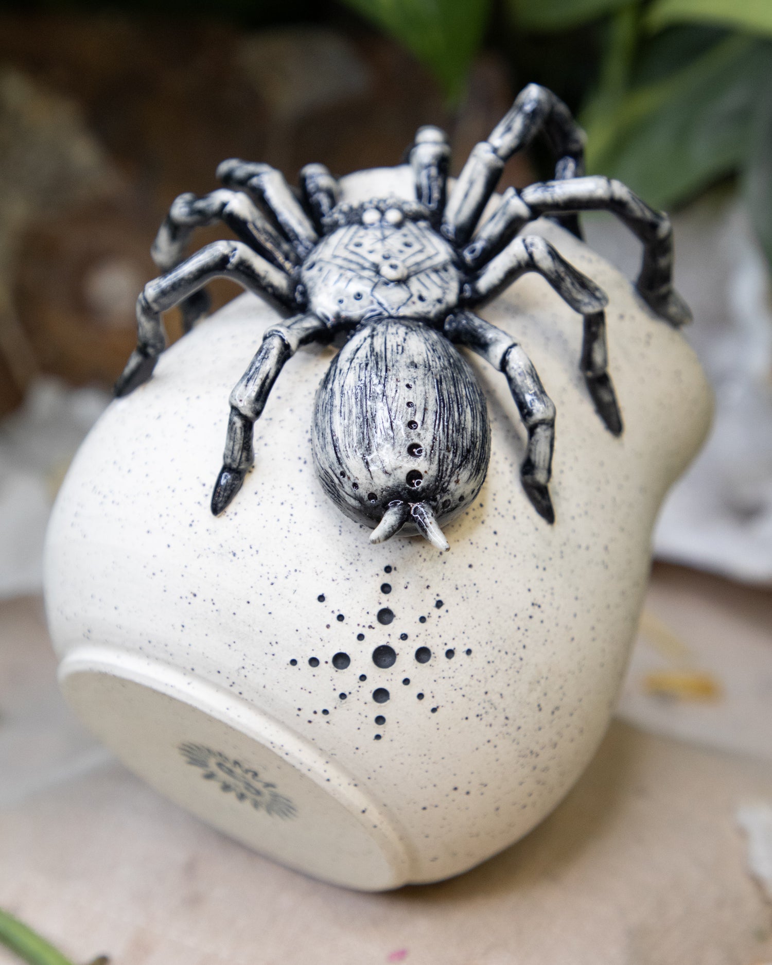 Tarantula of Trust Cup