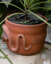 Load image into Gallery viewer, Ruby Serpent Planter
