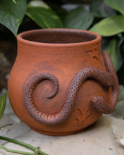 Load image into Gallery viewer, Harmony Serpent Planter
