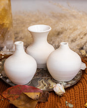 Load image into Gallery viewer, Three Sisters Mini Vase Set
