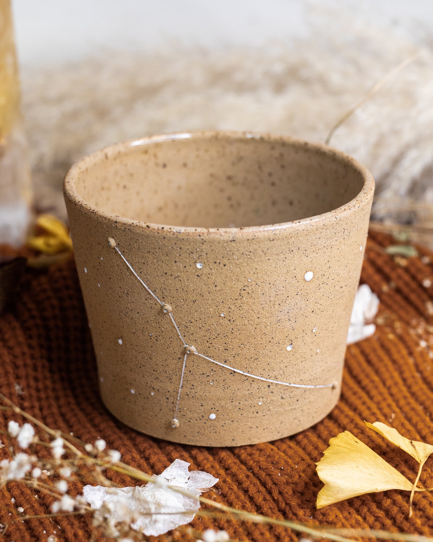Cancer Constellation Planter