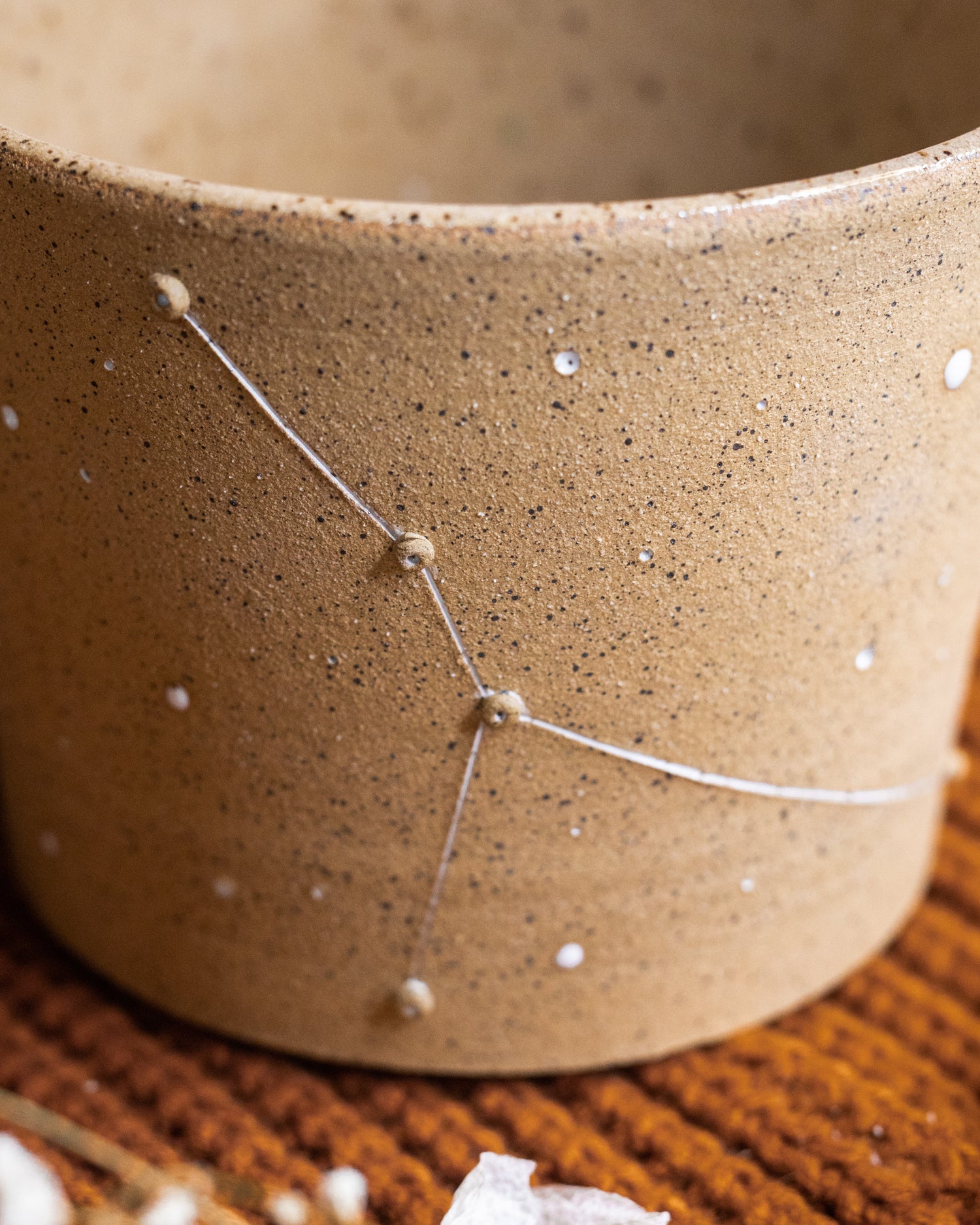 Cancer Constellation Planter