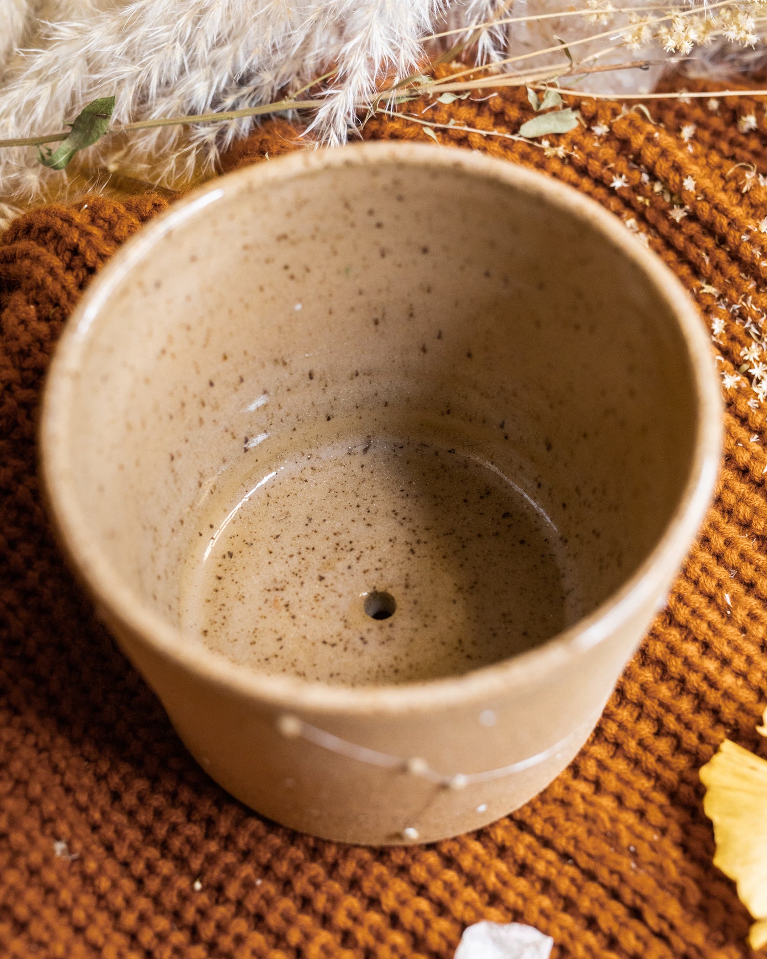 Cancer Constellation Planter